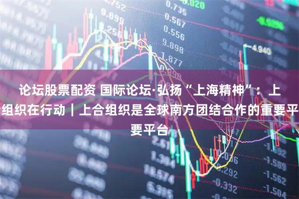 论坛股票配资 国际论坛·弘扬“上海精神”：上合组织在行动｜上合组织是全球南方团结合作的重要平台